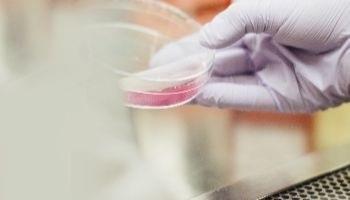 Fundación Aquae celebra la Semana de la Ciencia | FUNDACIÓN AQUAE ep fundacion aquae celebrasemanala ciencia