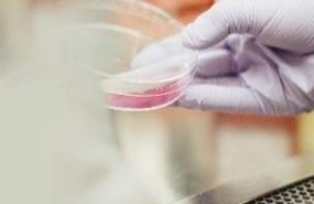 ep fundacion aquae celebrasemanala ciencia