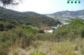 ep incendio intencionado en santa coloma de gramanet barcelona