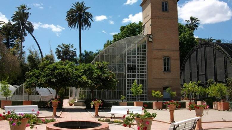 El Jardí Botànic De La Universitat De València Albergará La Consulta Ciudadana Del Proyecto CONCISE En España | JOANBANJO - Archivo ep jardi botnicla universitatvalncia albergara la consulta ciudadanaproyecto conciseespana