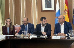 ep la directora general de transportes y movilidad del gobierno de canarias maria fernandez en la