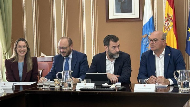 ep la directora general de transportes y movilidad del gobierno de canarias maria fernandez en la