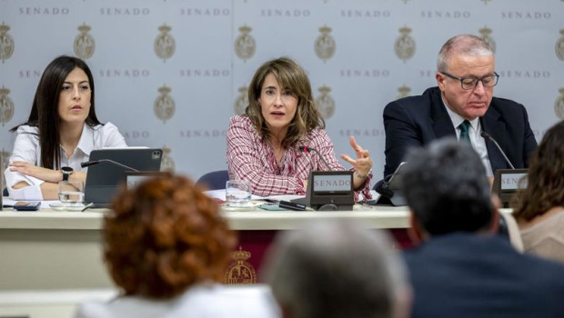 ep la exministra de transportes movilidad y agenda urbana raquel sanchez jimenez c comparece ante la
