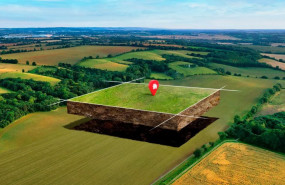 incubadora bdtierras