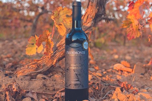 captura de pantalla 2022 12 14 210602