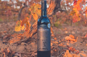 captura de pantalla 2022 12 14 210602