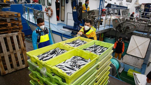 ep archivo descarga masiva de bocarte en el puerto de burela ep archivo descarga masiva de bocarte en el puerto de burela