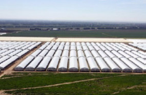 ep archivo   gonvarri industries entra en el sector agroalimentario con la adquisicion de la israeli