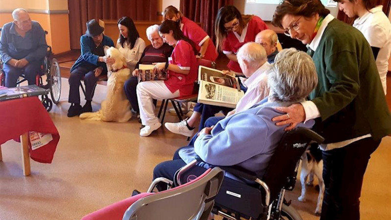 ep atencion a dependientes con animales en una residencia