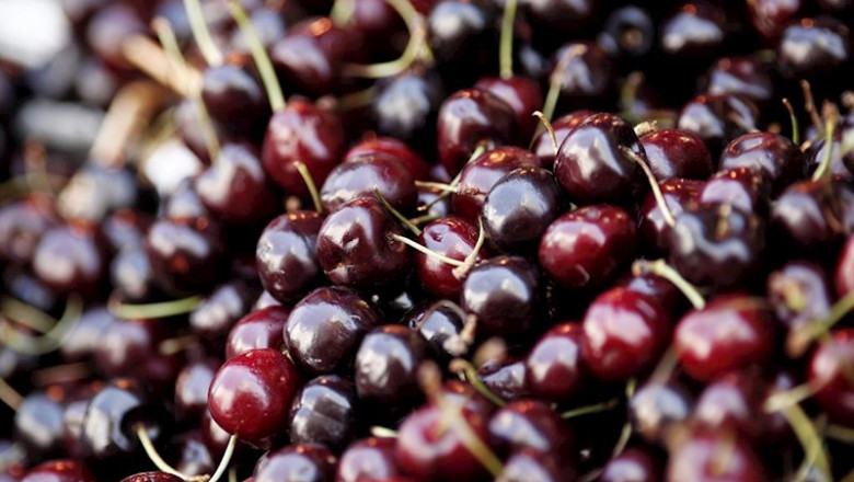 Cerezas en un mercado. | Eduardo Parra - Europa Press - Archivo ep cerezas en un mercado