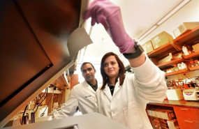 ep dra satya ande biologa moleculardepartamentobioquimicabiologia molecularmcgcentrocancergeorgiabecario postdoctoralmcg dr manali dimrilaboratoriocentrocancergeorgia