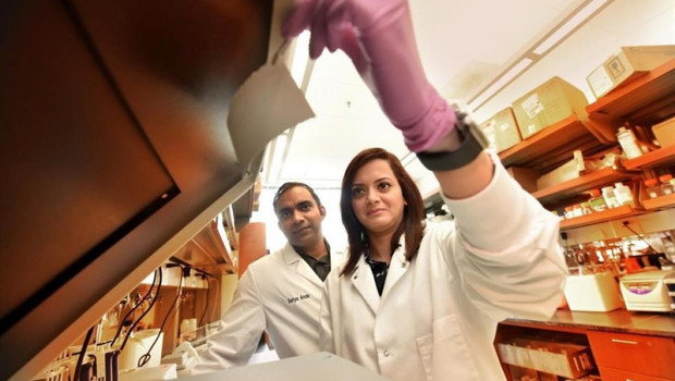 ep dra satya ande biologa moleculardepartamentobioquimicabiologia molecularmcgcentrocancergeorgiabecario postdoctoralmcg dr manali dimrilaboratoriocentrocancergeorgia