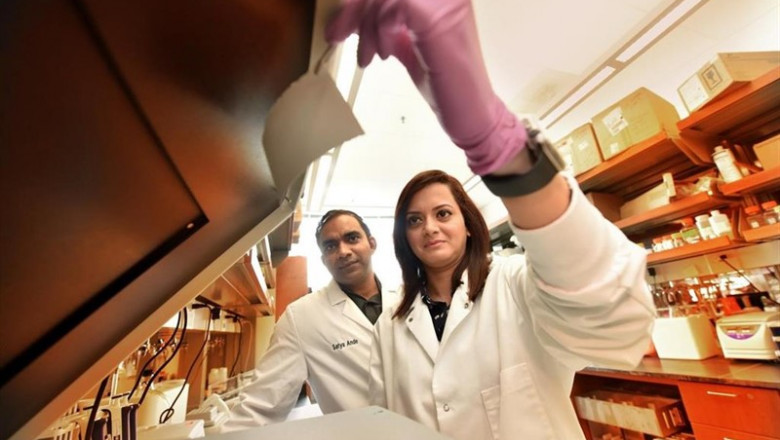 Dra. Satya Ande, bióloga molecular en el Departamento de Bioquímica y Biología Molecular de MCG y el Centro de Cáncer de Georgia y becario postdoctoral de MCG, Dr. Manali Dimri en el laboratorio del Centro de Cáncer de Georgia. | PHIL JONES, UNIVERSIDAD DE AUGUSTA ep dra satya ande biologa moleculardepartamentobioquimicabiologia molecularmcgcentrocancergeorgiabecario postdoctoralmcg dr manali dimrilaboratoriocentrocancergeorgia