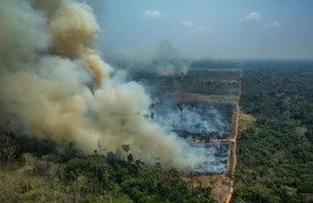 ep incendios en la amazonia brasilena