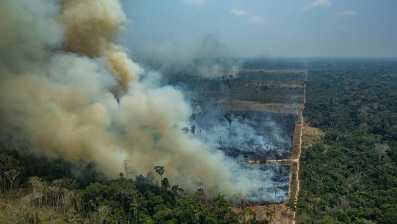 Incendios en la Amazonia brasileña | Victor Moriyama/Greenpeace Brazi / DPA ep incendios en la amazonia brasilena
