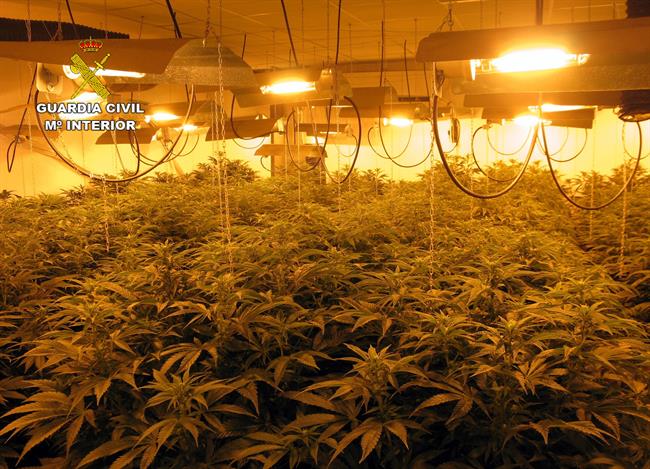 Invernadero indoor de marihuana | GUARDIA CIVIL ep invernadero indoormarihuana
