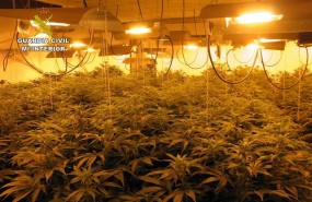 ep invernadero indoormarihuana