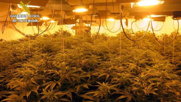 ep invernadero indoormarihuana
