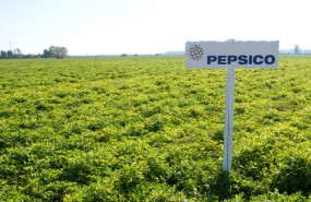 ep proyecto euronuts de pepsico