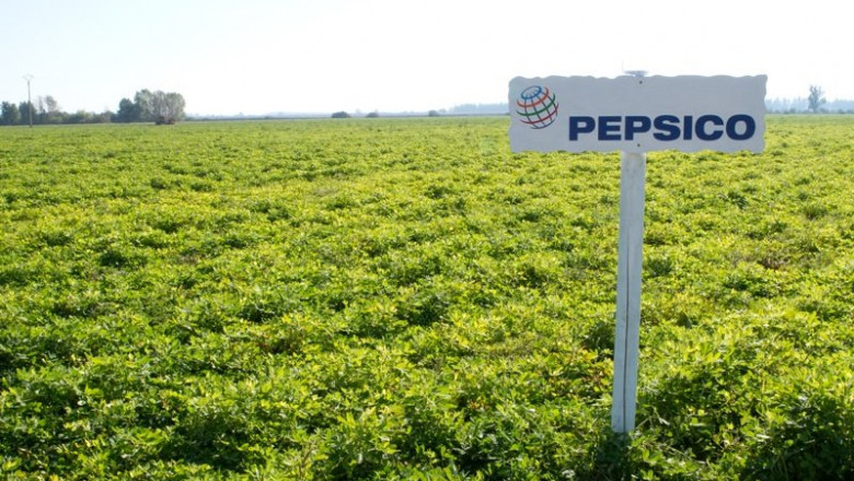 ep proyecto euronuts de pepsico