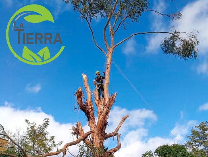 1654254956 la tierra jardineria