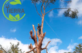 1654254956 la tierra jardineria 1654254956 la tierra jardineria