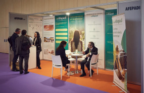 afepadi 1 20250228123334 afepadi 1 20250228123334