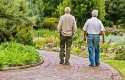 pensiones pensiones