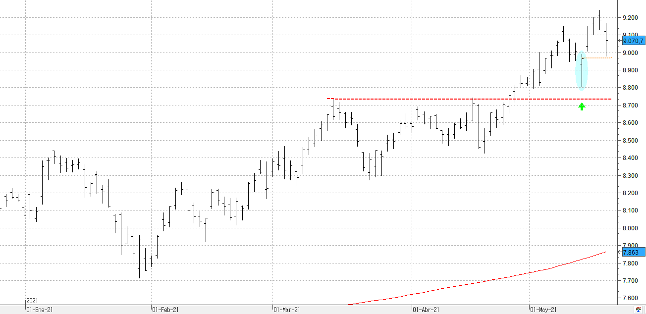 c190521ibex