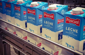 ep archivo   bricks de leche de calidad pascual