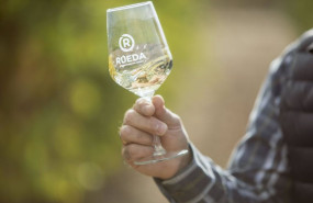 ep archivo   imagen de una copa con vino de la denominacion de origen rueda