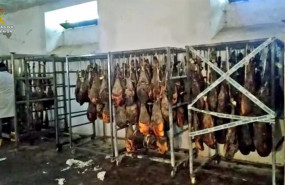 ep archivo   incautan mas de mil paletas y jamones con falsos precios ibericos