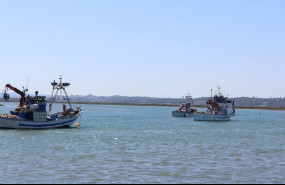 ep barcos pesqueros