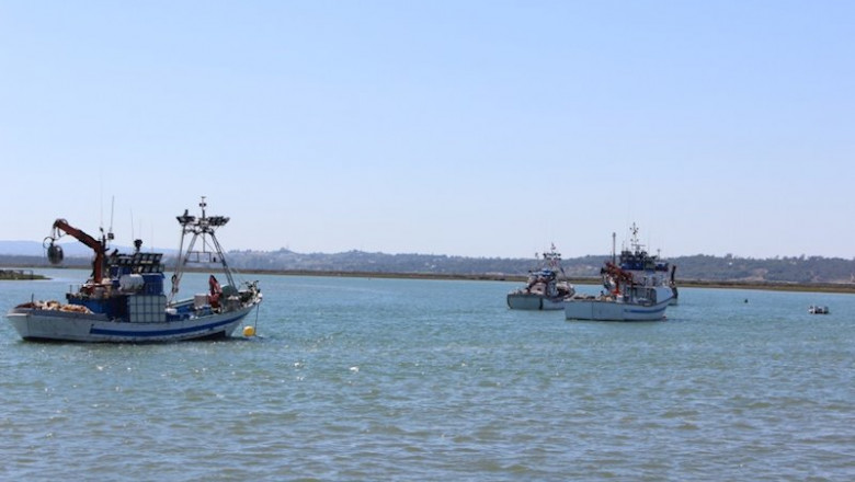 ep barcos pesqueros