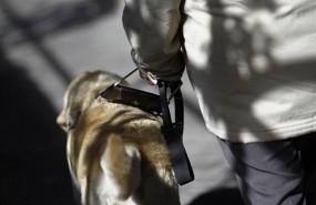 ep discapacidad discapacitado ciego personas ciegasperro guia lazarillo