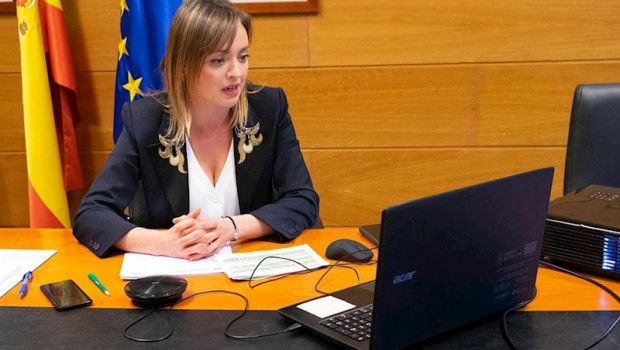 ep la conselleira de politica social participa en una videoconferencia foto de archivo