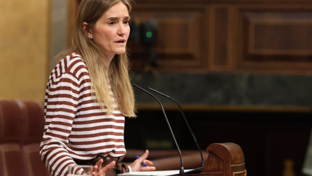 ep la vicepresidenta tercera y ministra para la transicion ecologica sara aagesen interviene durante 20250514160104