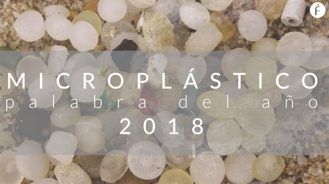 Microplástico, palabra del año 2018 para la Fundéu BBVA | FUNDÉU BBVA ep microplastico palabraano 2018la fundeu bbva
