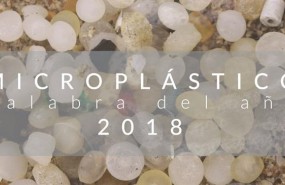 ep microplastico palabraano 2018la fundeu bbva