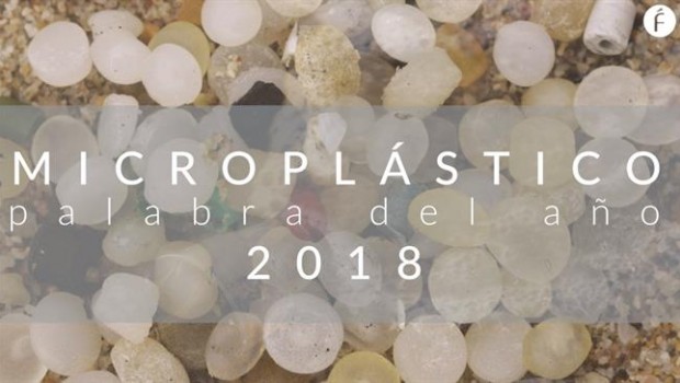 ep microplastico palabraano 2018la fundeu bbva