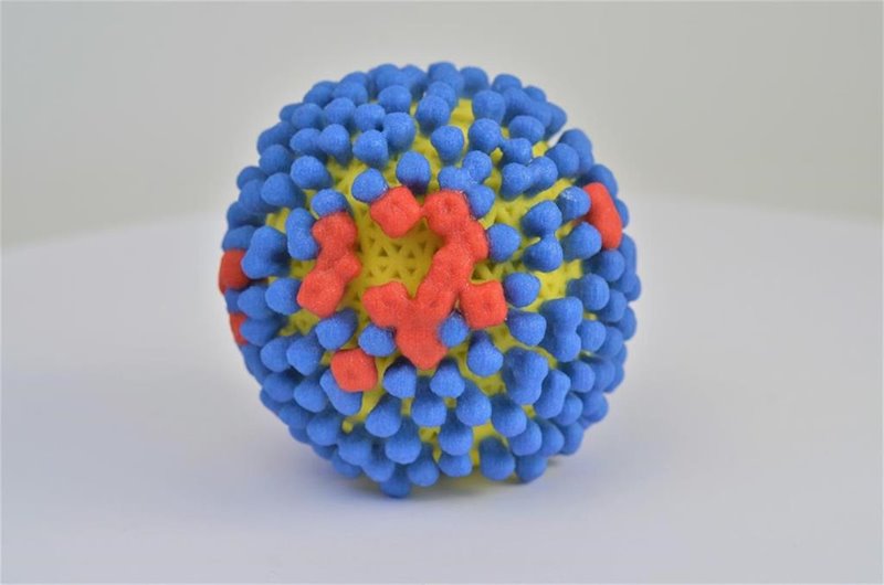 ep modelo del virus de la gripe influenza