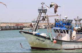 ep pesca maritima en andalucia