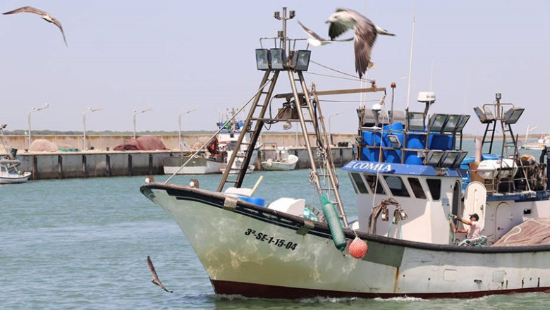 ep pesca maritima en andalucia ep pesca maritima en andalucia