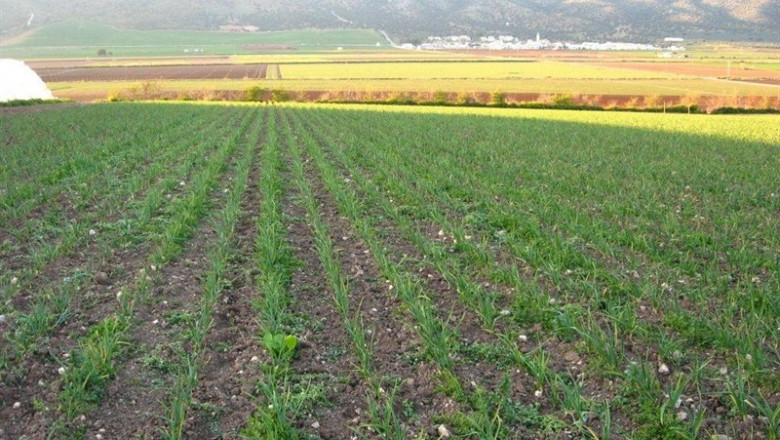 El peso de la comercialización en el sector agroalimentario español, por debajo de la UE | JUNTA DE ANDALUCÍA - Archivo ep pesola comercializacionsector agroalimentario espanol por debajola ue