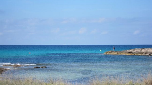 ep posidonia oceanica mediterraneo formentera