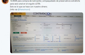 ep publicaciontwitterla diputadavox carla toscanouna licitacionorgullo