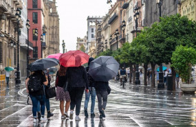 ep un grupo de turistas con paraguas por la av de la constitucion de sevilla