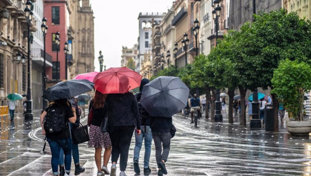 ep un grupo de turistas con paraguas por la av de la constitucion de sevilla