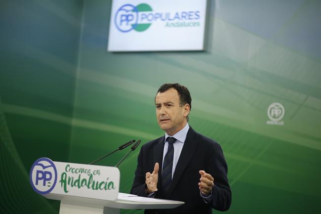 El vicesecretario de Sectores Productivos del PP-A, Pablo Venzal | PP-A ep vicesecretariosectores productivospp-a pablo venzal