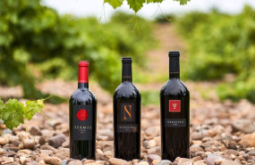 ep vinos de bodega numanthia